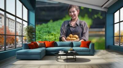 Happy Woman holding a freshly dug and washed potatoes Horticulture farming organic healthy food. farmer market biological food from plantation garden vegetable garden, harvest, local farmer concept Wall mural